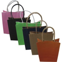 AGC Χάρτινη Τσάντα για Δώρο Πολύχρωμη 27x21x21εκ. 12τμχ 11401209