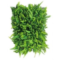 ForHome Συνθετικό Πάνελ Φυλλωσιάς 60x40cm FOR-22463
