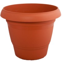 ΓΛΑΣΤΡΑ GERAMICA Ν402 32cm x 27cm ΚΑΦΕ MB 101402