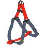 Nunbell Pet Σαμαράκι Σκύλου Εκπαιδευτικό 36527