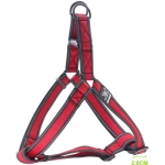 Nunbell Pet Σαμαράκι Σκύλου Εκπαιδευτικό 36536