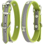 Nunbell Pet Κολάρο Σκύλου Δερμάτινο σε Πράσινο χρώμα 15mm x 38cm 33967