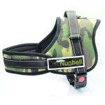 Nunbell Pet Σαμαράκι Σκύλου Εκπαιδευτικό Πράσινο Medium 55-76cm 33871