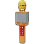 WSTER Ασύρματο Μικρόφωνο Karaoke WS-1828 σε Χρυσό Χρώμα