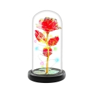 Παντοτινό Τριαντάφυλλο 22cm σε Γυάλα με LED B08SM13R8Q